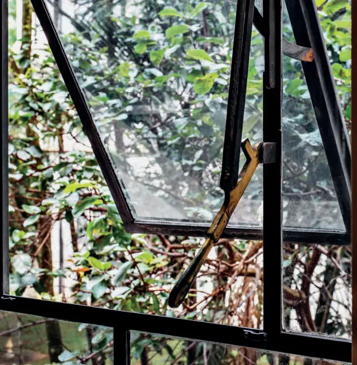 Faculdade de Medicina da Universidade de São Paulo